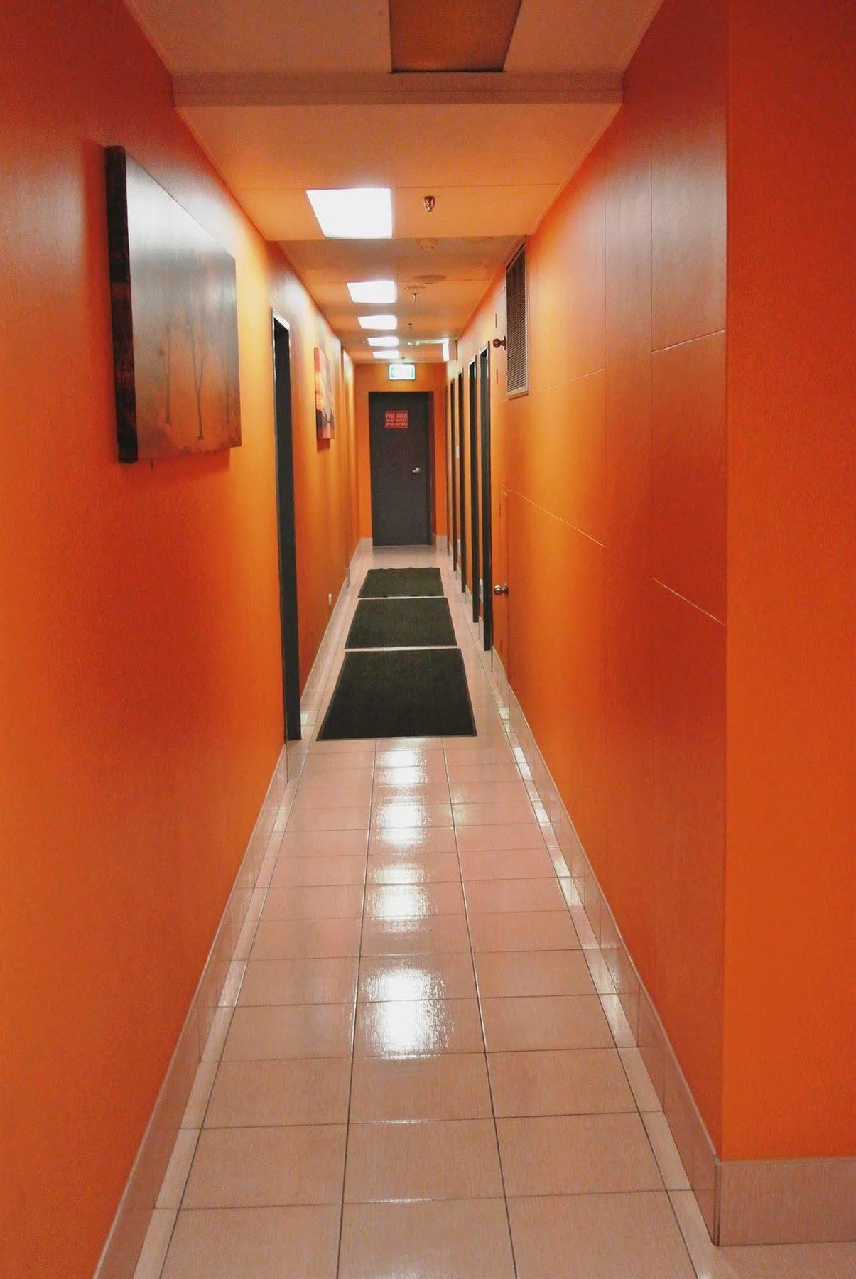 Jackaroo Hostel Sydney Exteriör bild